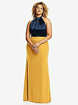 Front View Thumbnail - NYC Yellow & Midnight Navy High-Neck Open-Back Maxi Dress with Scarf Tie
