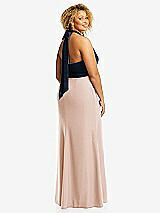 Rear View Thumbnail - Cameo & Midnight Navy High-Neck Open-Back Maxi Dress with Scarf Tie
