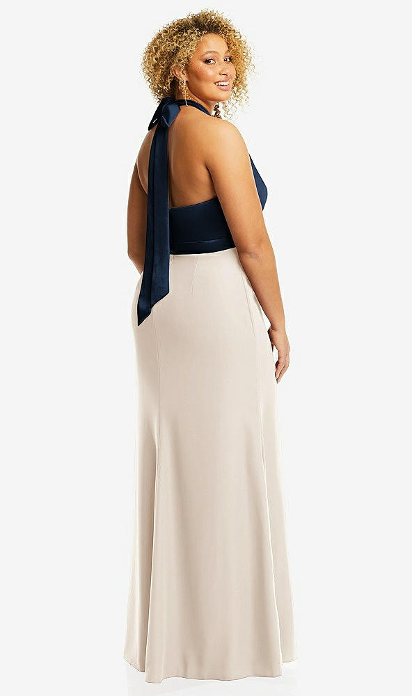 Back View - Oat & Midnight Navy High-Neck Open-Back Maxi Dress with Scarf Tie