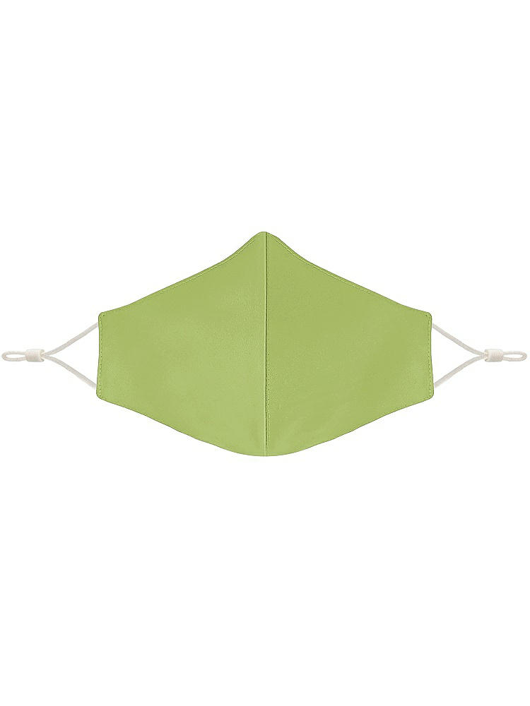 Front View - Mojito Satin Twill Reusable Face Mask