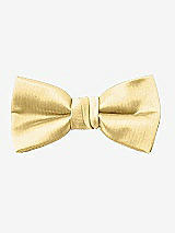 Rear View Thumbnail - Buttercup Yarn-Dyed Boy's Bow Tie by After Six