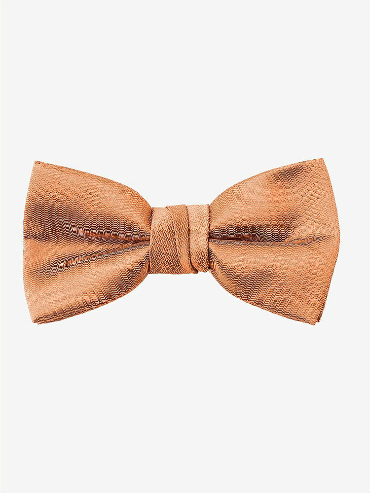 Back View - Clementine Yarn-Dyed Boy's Bow Tie by After Six