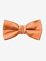 Rear View Thumbnail - Clementine Yarn-Dyed Boy's Bow Tie by After Six