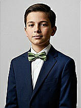 Front View Thumbnail - Clover Yarn-Dyed Boy's Bow Tie by After Six