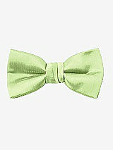 Rear View Thumbnail - Pistachio Yarn-Dyed Boy's Bow Tie by After Six