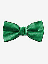 Rear View Thumbnail - Shamrock Yarn-Dyed Boy's Bow Tie by After Six