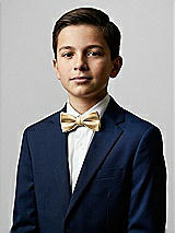 Front View Thumbnail - Venetian Gold Yarn-Dyed Boy's Bow Tie by After Six