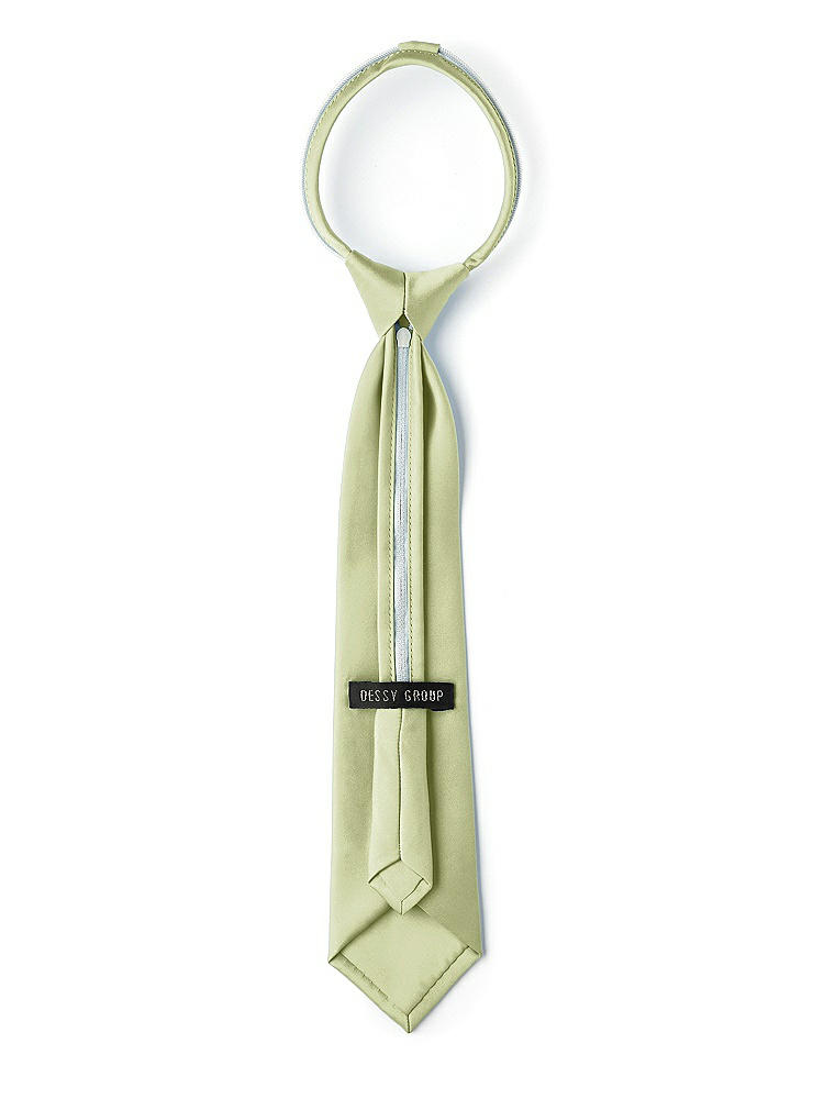 Back View - Mint Matte Satin Boy's 14" Zip Necktie by After Six