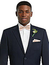 Alt View 2 Thumbnail - Cameo Classic Yarn-Dyed Bow Ties by After Six