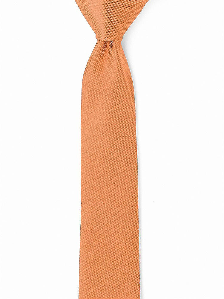 Back View - Clementine Yarn-Dyed Narrow Ties by After Six